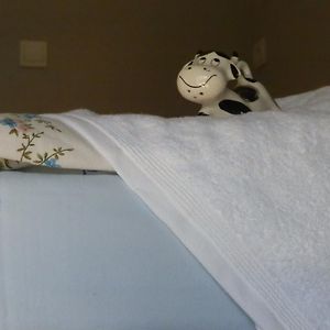 Studio Appartement